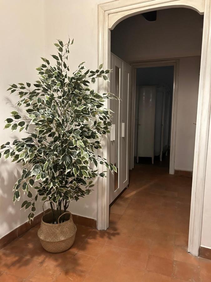 La Casa Di Gioia Apartment Остия Антика Екстериор снимка